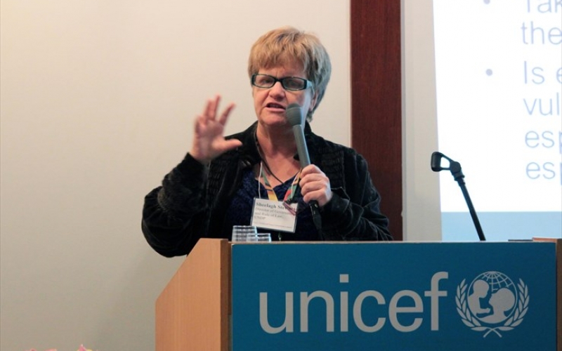 Dr. Sheelagh Stewart, Director of Governance and Rule of Law, Bureau of  Crisis Prevention and Recovery (BCPR), United Nations Development Program (UNDP)